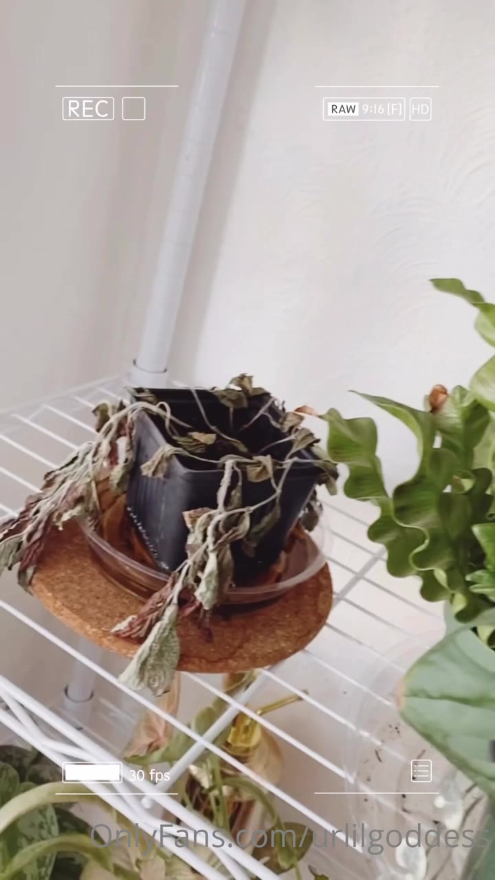 hog rips stud at the mall in urlilgoddess anal.