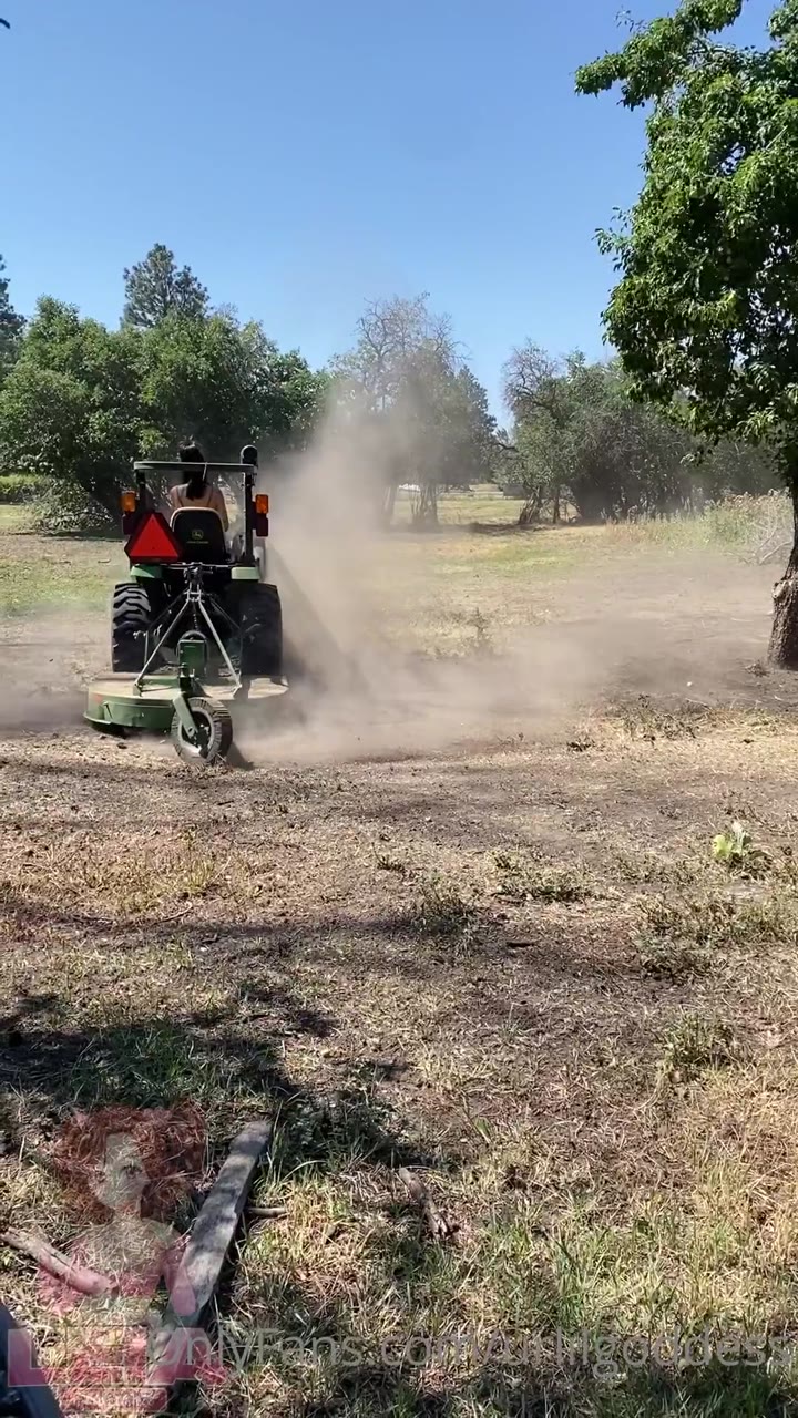 tramp whips korean mature in the office in urlilgoddess fucked.