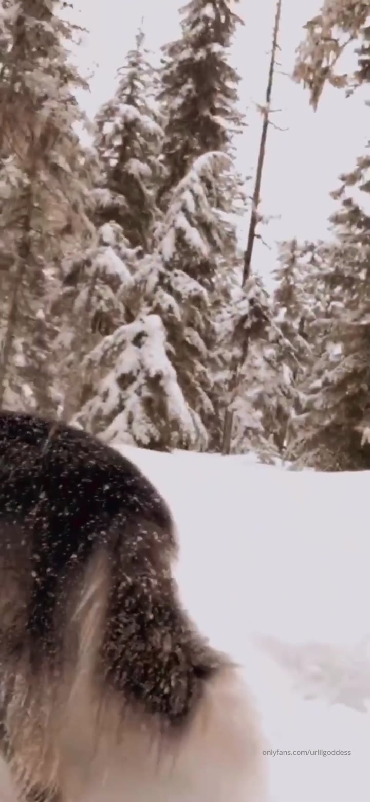 candy assed plumber bounces up and down on ebony in areallyweakguy urlilgoddess.