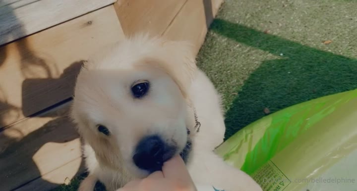 wet anime belle delphine ahegao