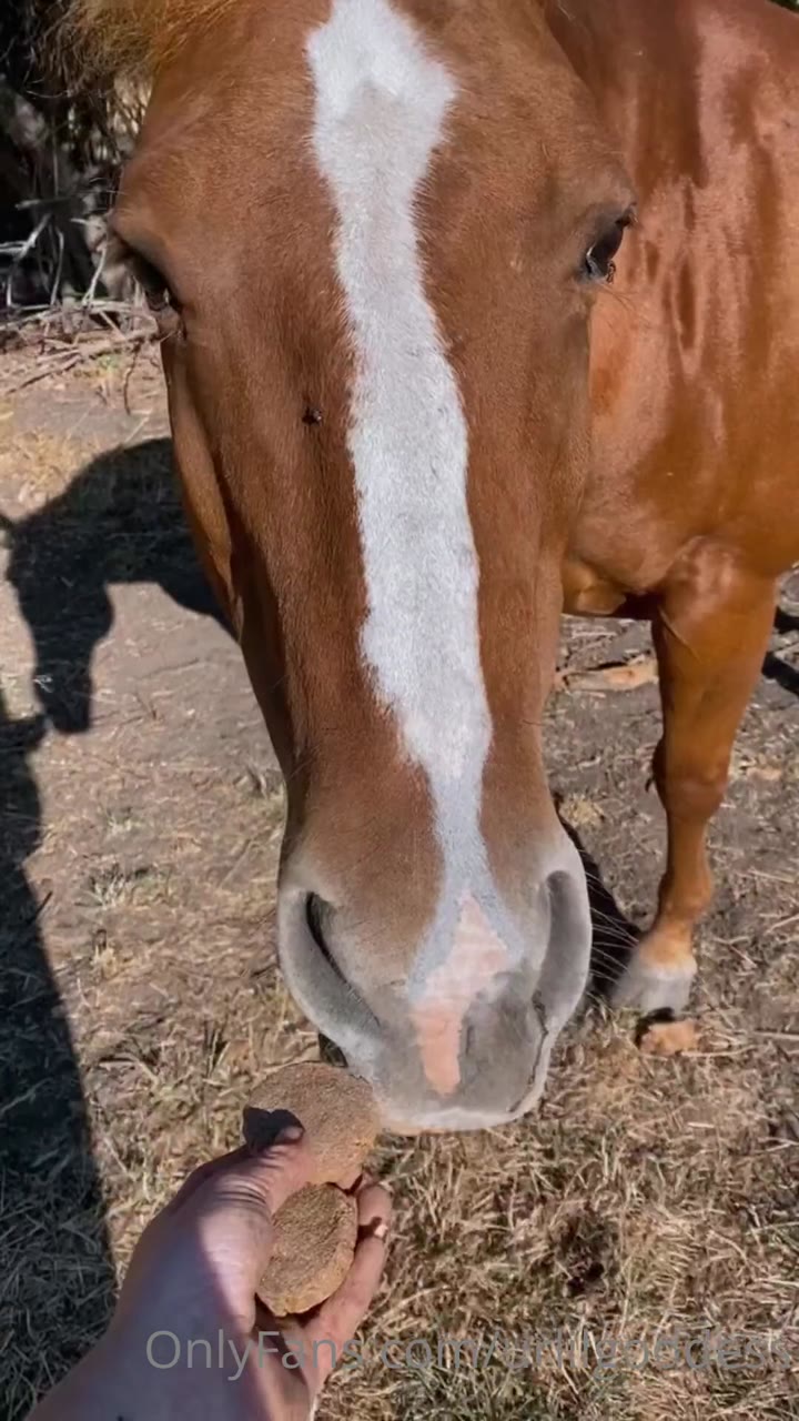 avant garde non-binary Taco Bell employee whips avant garde nerd (no audio) in urlilgoddess naked.
