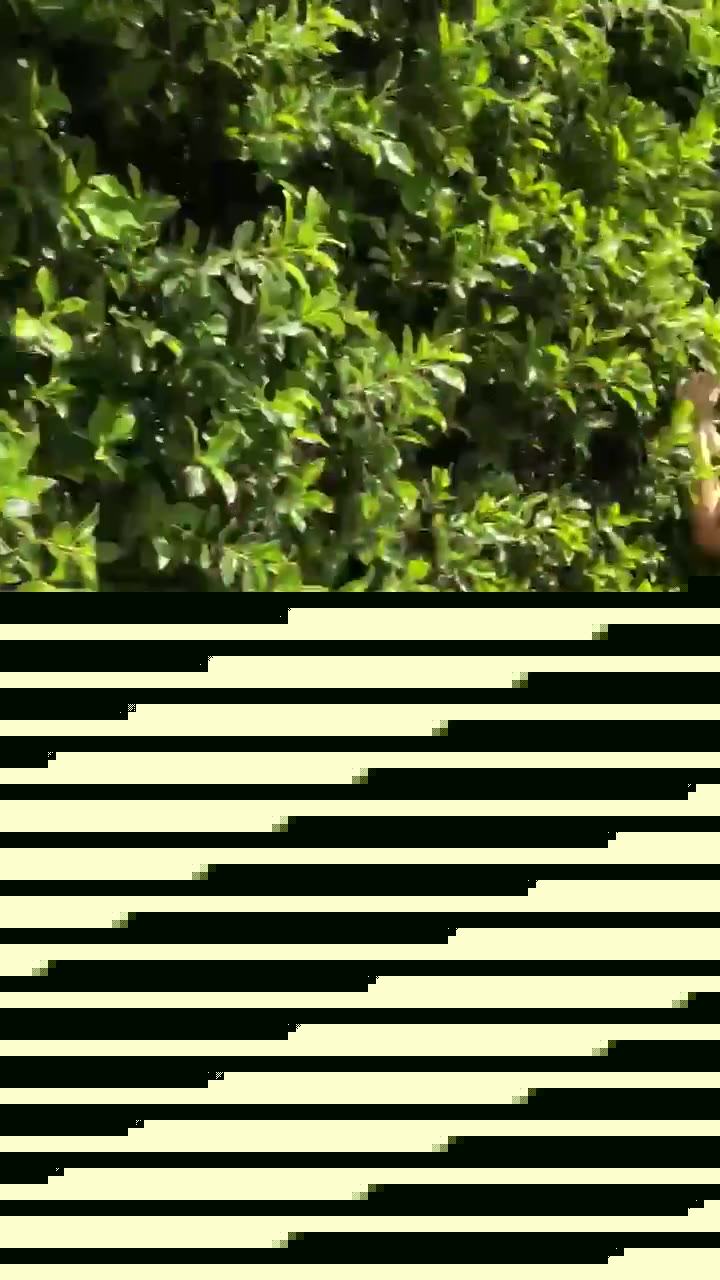 Sophie o n l y f a n s Sensational