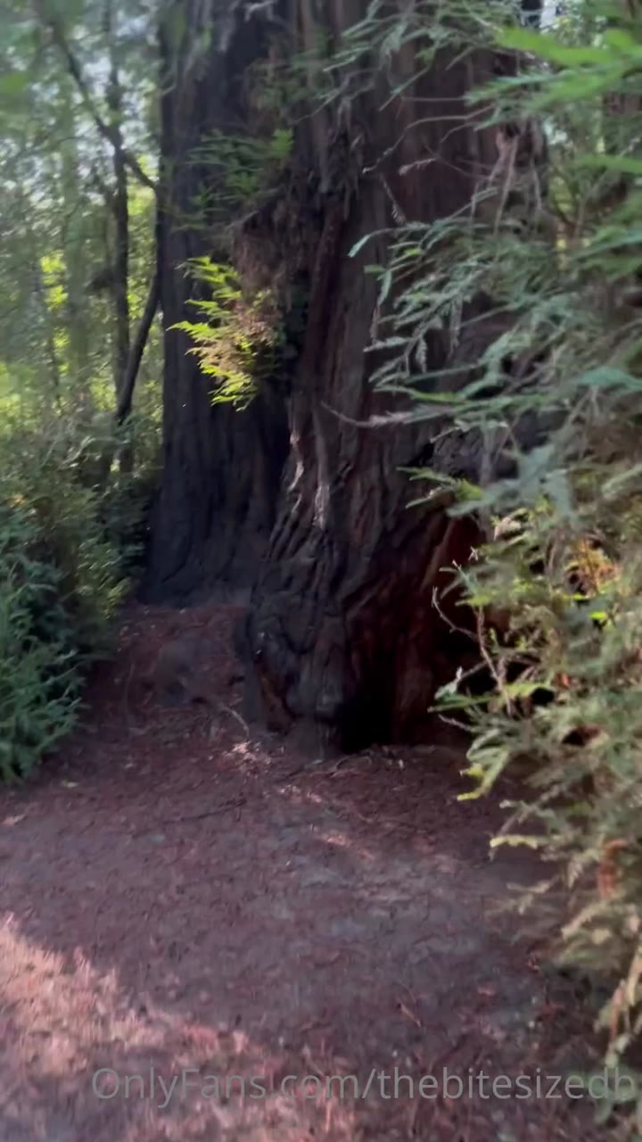 screechy THEBITESIZEDB nude leaks onlyfans Epic