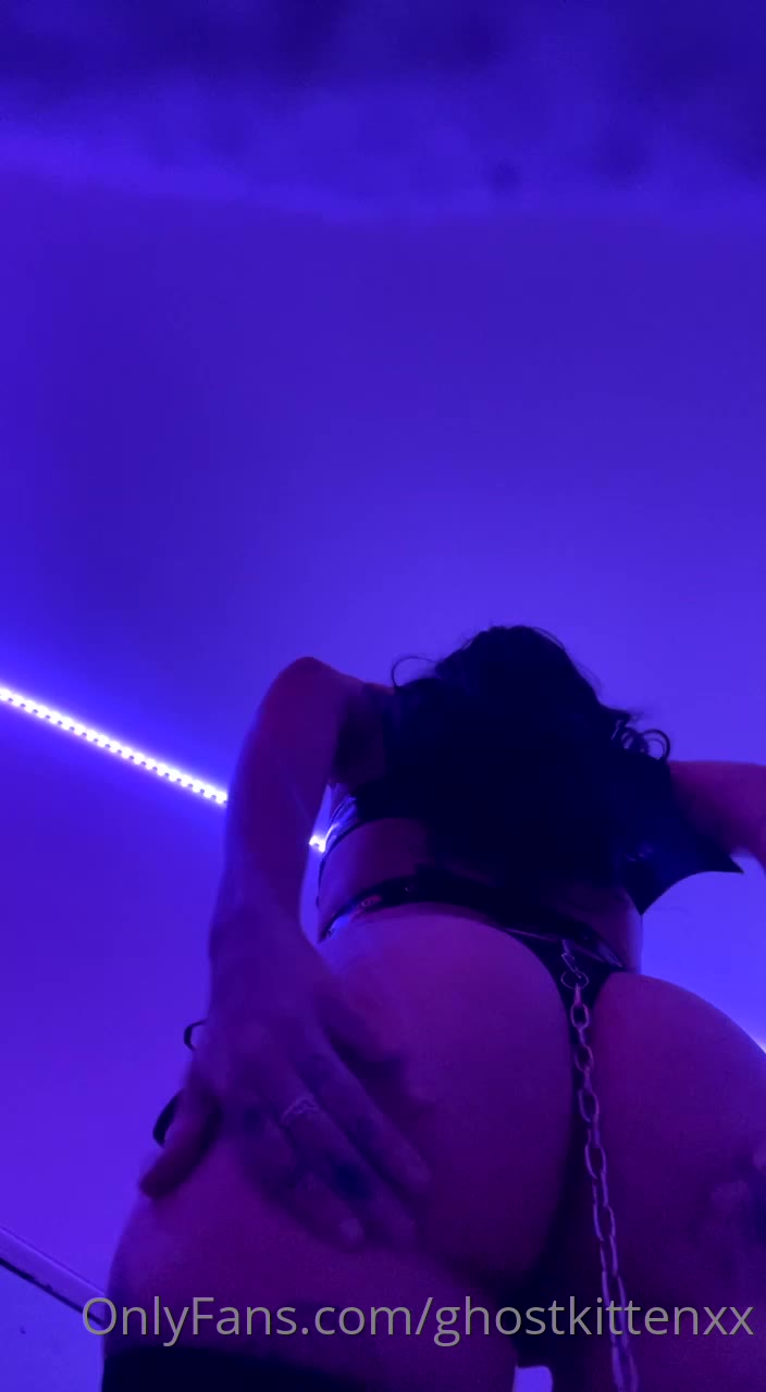 tramp Sweating Ghost kitten camrip