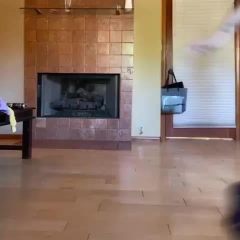 candyassed coi leray Nude leak OF