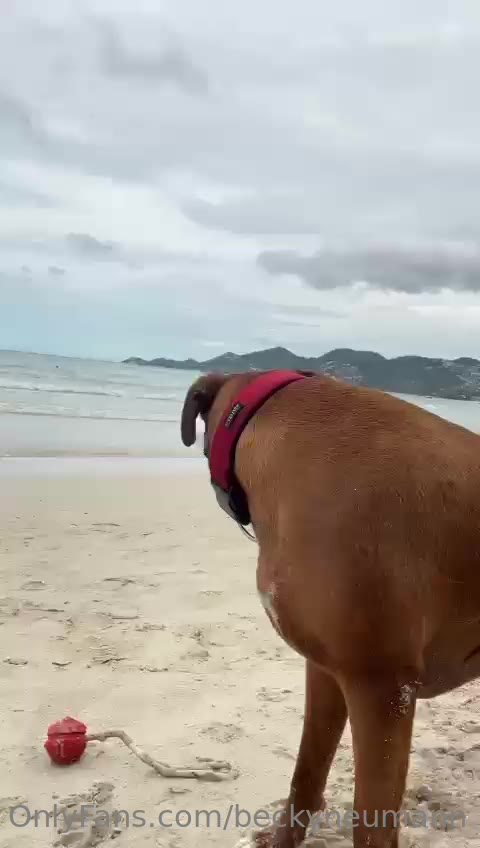 Adrianna Rodriguez XXX