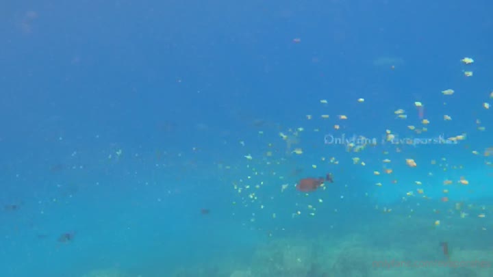 strumpet Evaporshes instagram Vid