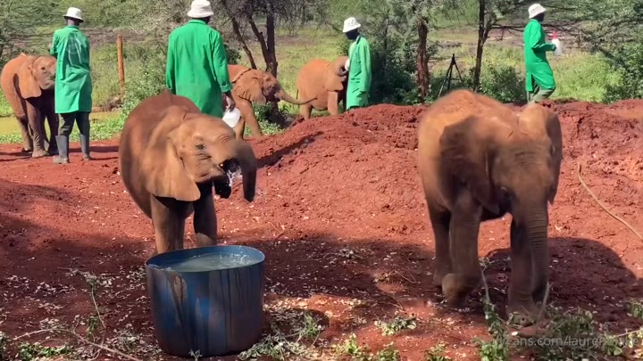 Exposed bab Lauren Blake Nudes leak Leaked full video