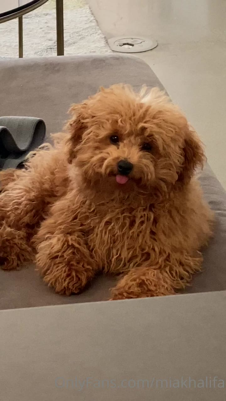 sex Mia Khalifa Onlyfans nude