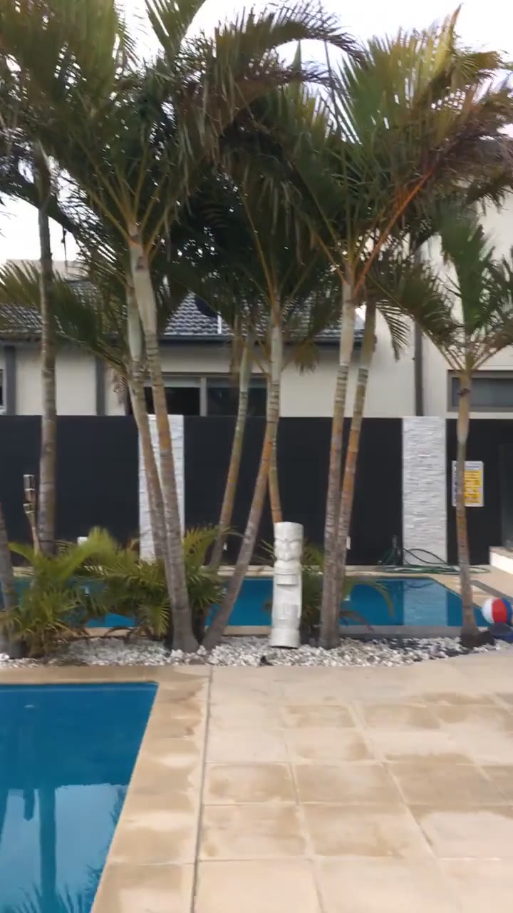 Elle Knox Leaked  Exclusive vid full