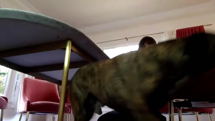 sweaty Riley Reid Onlyfans leaked Epic