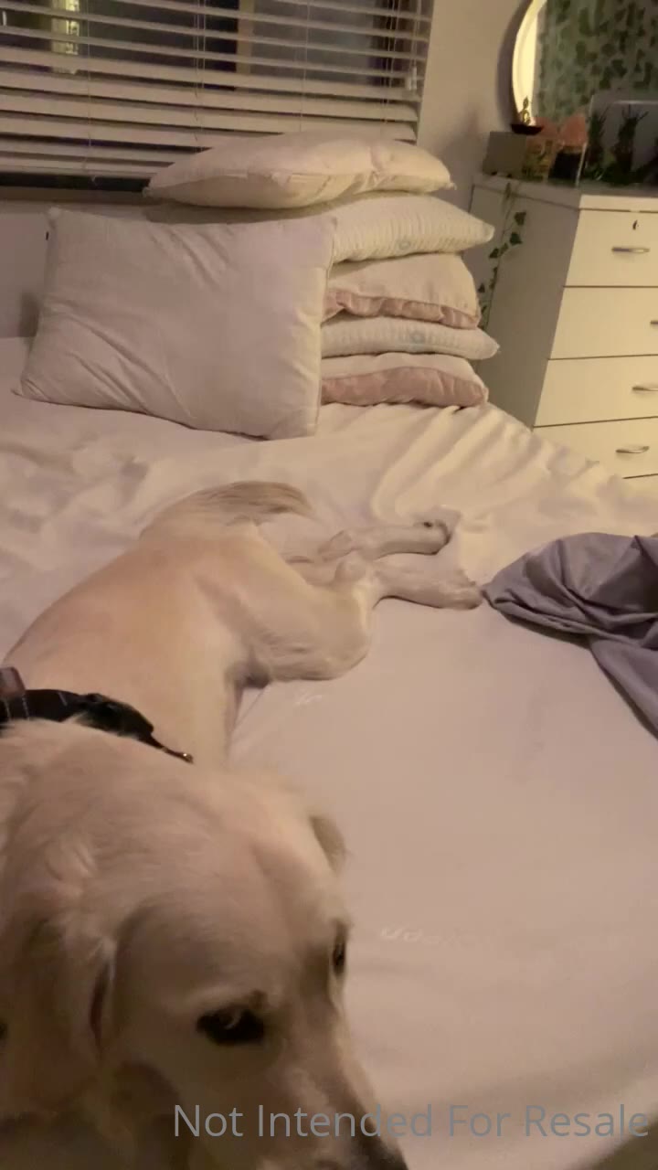 Epic termagant Jamie Lynn leaks OF