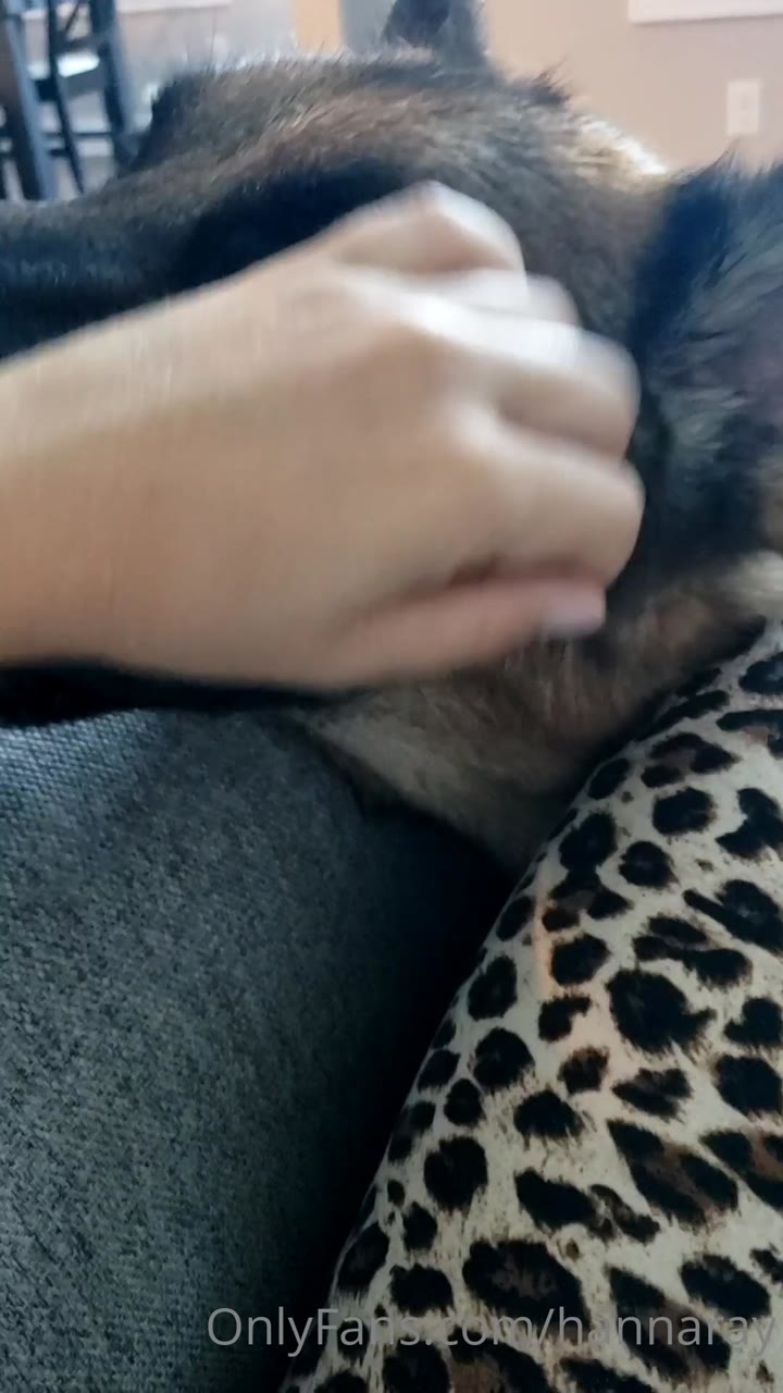 Sensational Hanna Ray fapello