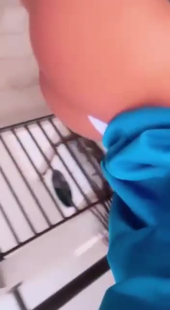 Sensitive Esttermuniz XXX