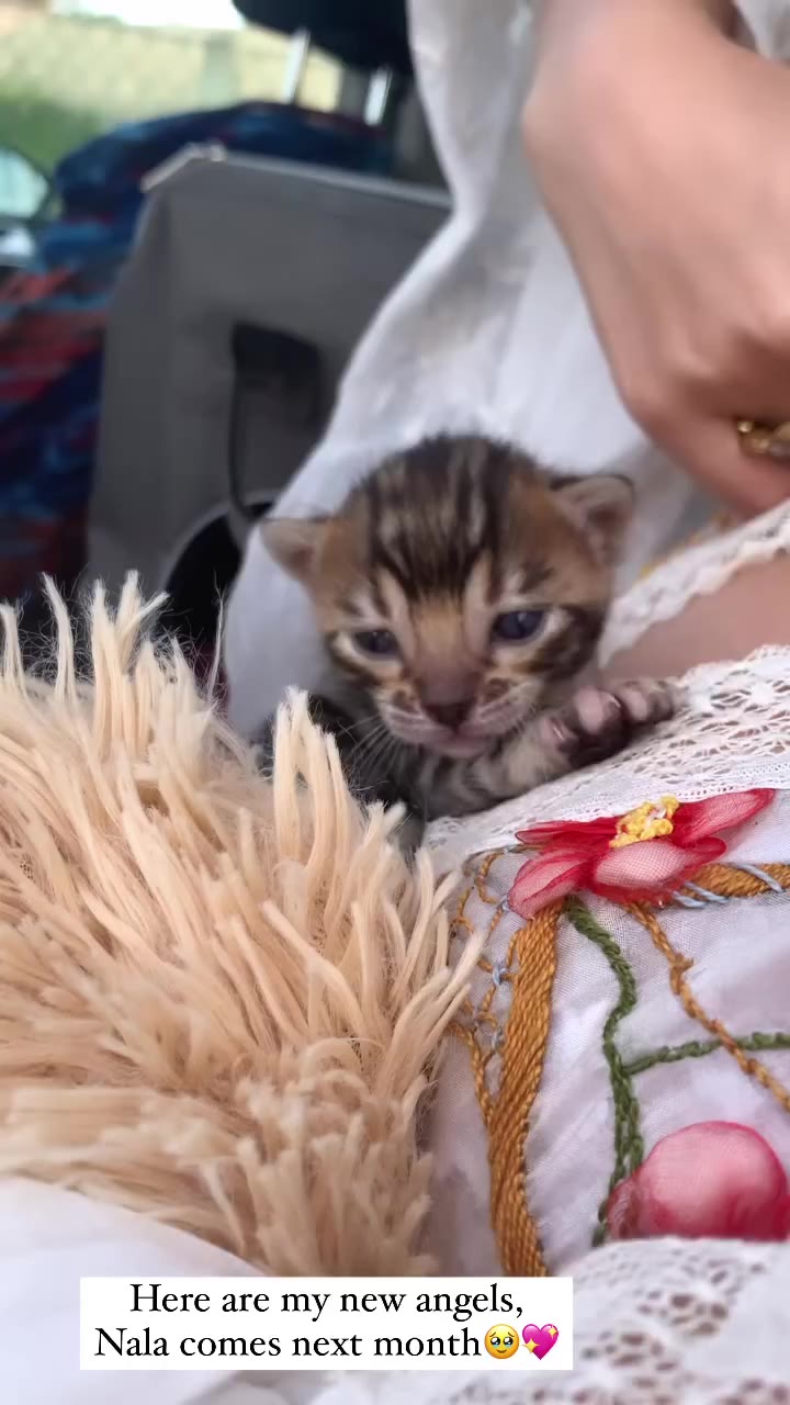 unwholesome Demi Rose Leaked Exclusive video full