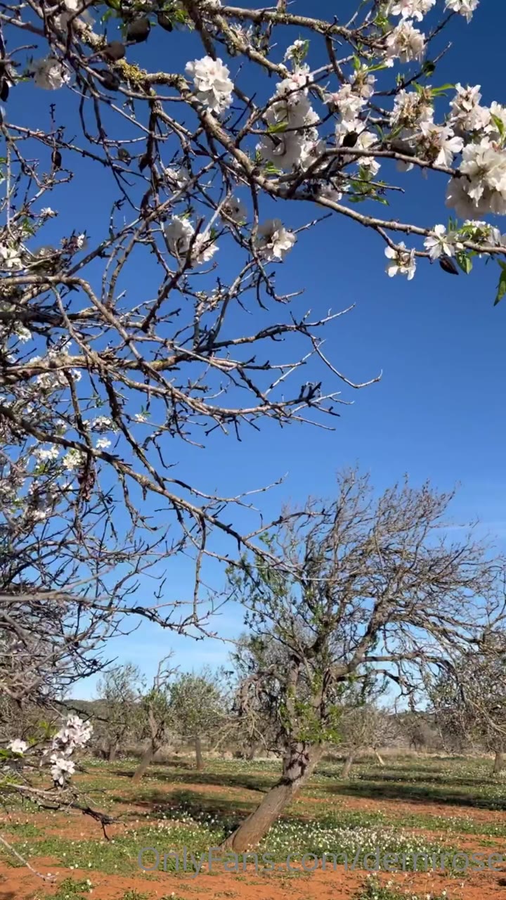 soft Demi Rose Nude Patreon