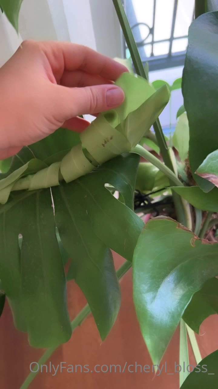 brave masturbation Cheryl Blossom Onlyfans nude