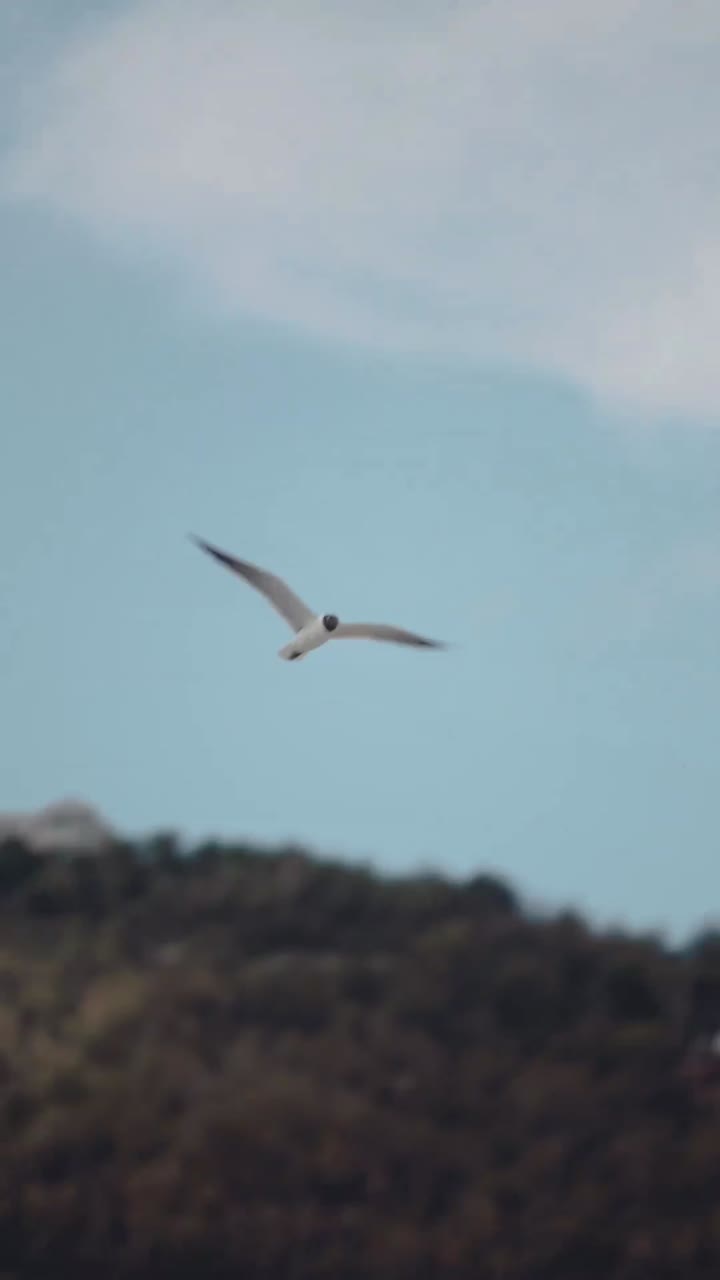 Caucasian Charly Jordan leaked onlyfans pic