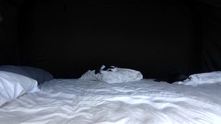 Busty Jade Chen masturbating Exclusive full vid