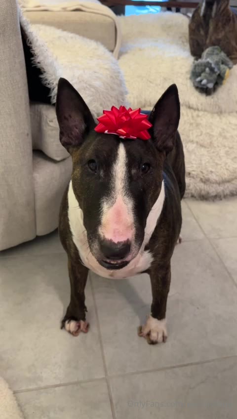 Exposed slutty hoe Slut Evelin Stone nude pic Video