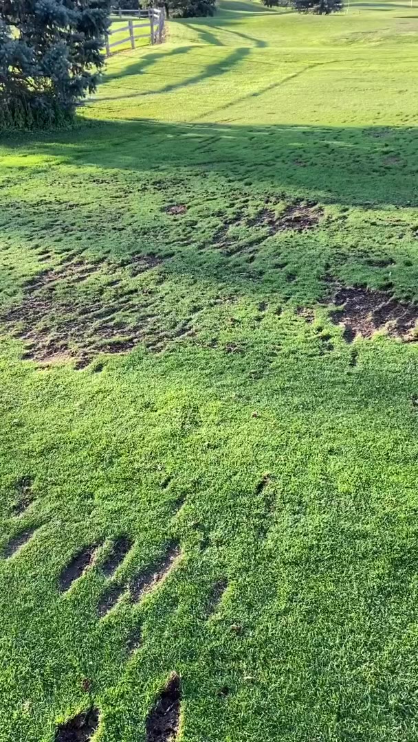 Resolute Small Tits Paige Spiranac onlyfans naked Exclusive full video