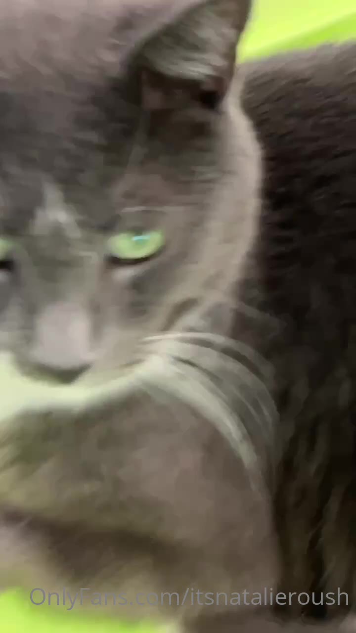 bigass Natalie Roush Porn Exclusive full vid