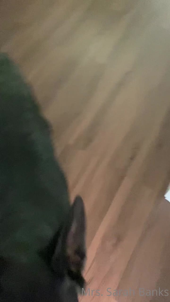 Sensational Babe Sarah Banks reddit