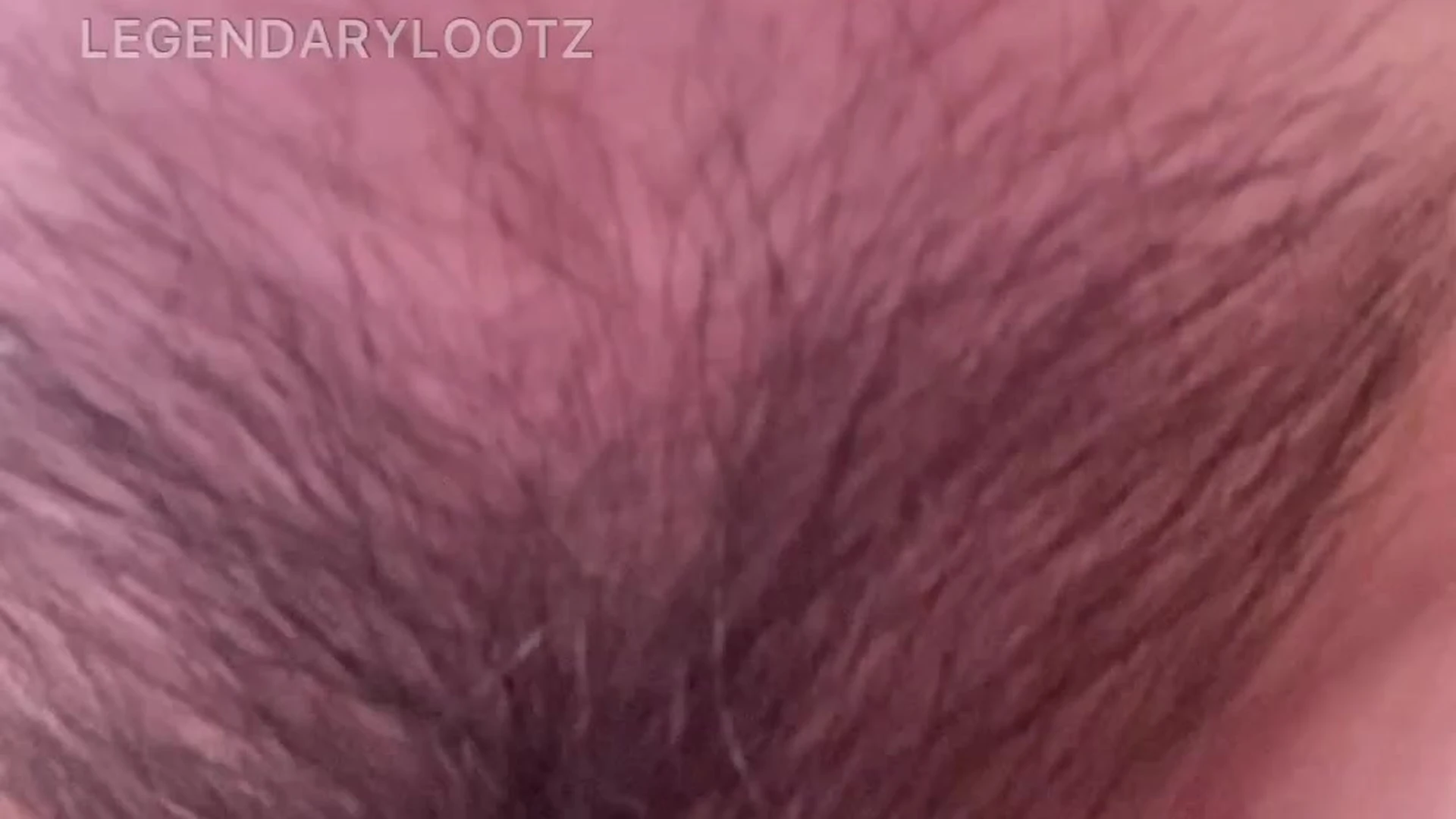 Exposed petite tits Legendarylootz blowjob