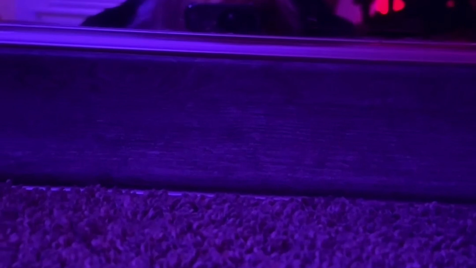 EPIC big arse Whiptrax tits pic