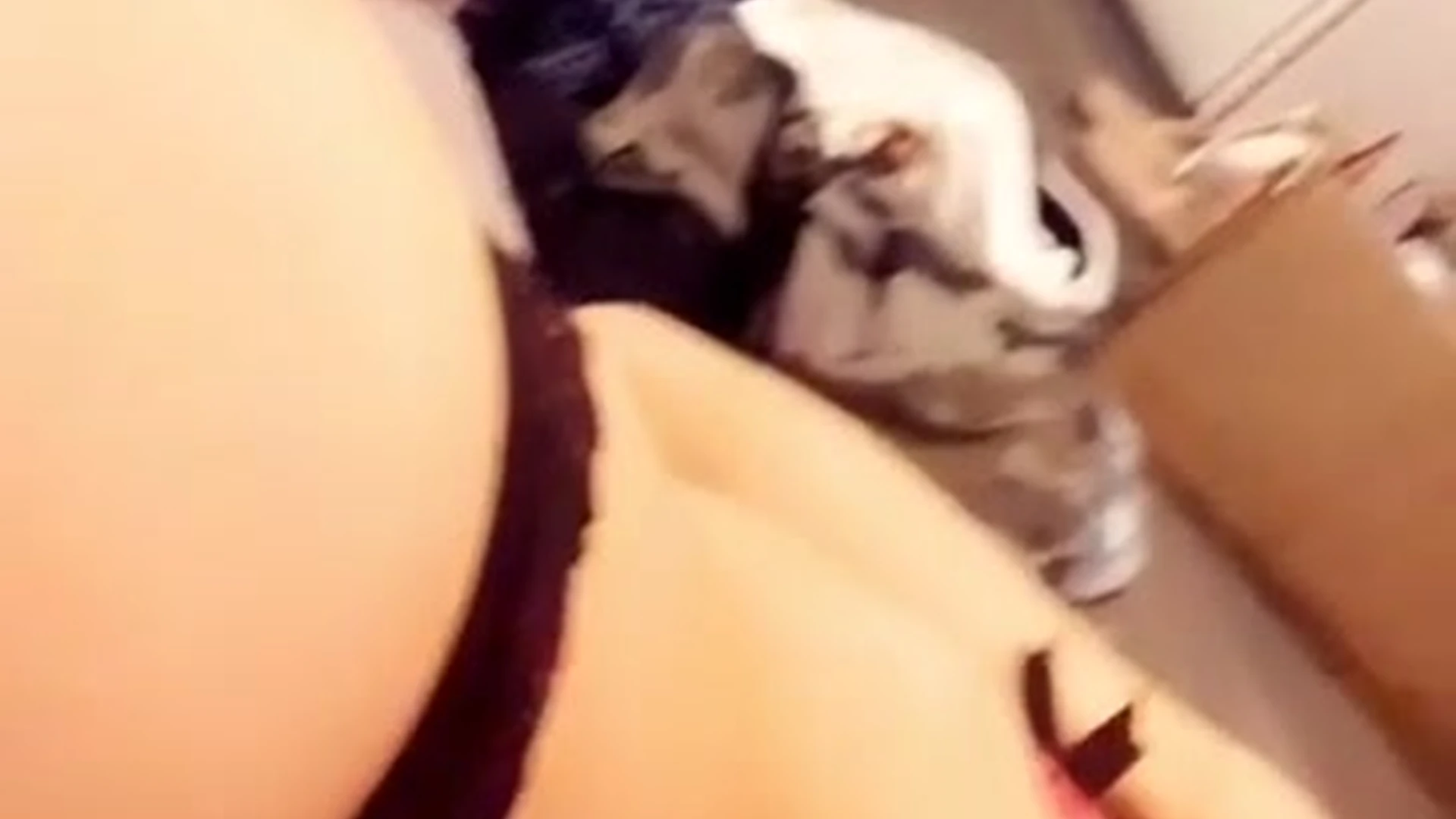 hot girl big boobs Molly Eskam leaked pics EPIC