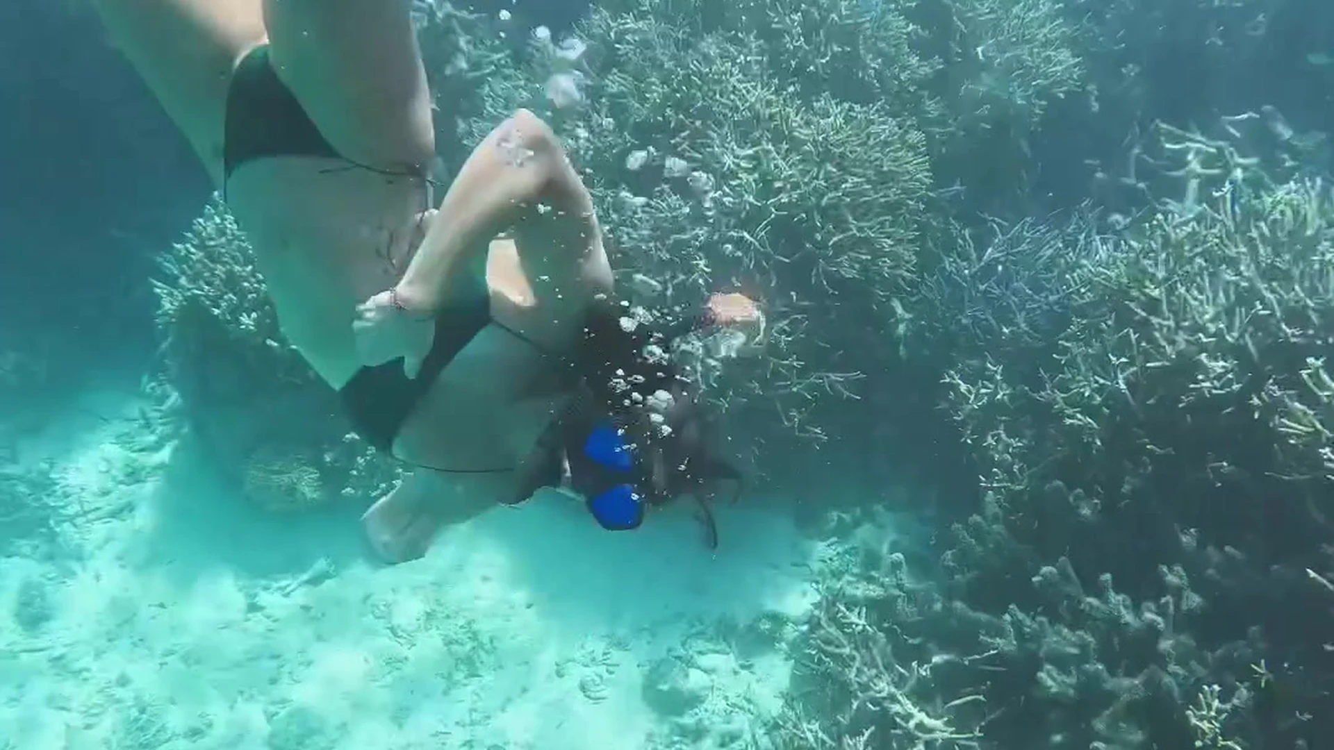 Epic petite Aspen Rae porn xxx