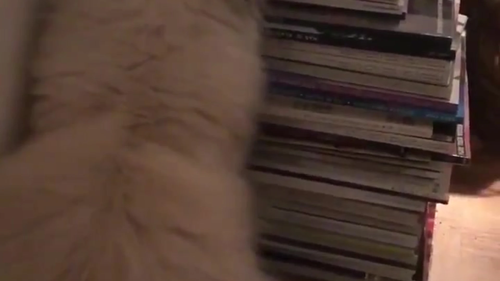 Skilled petite Eri Kitami sex tape Full Movie