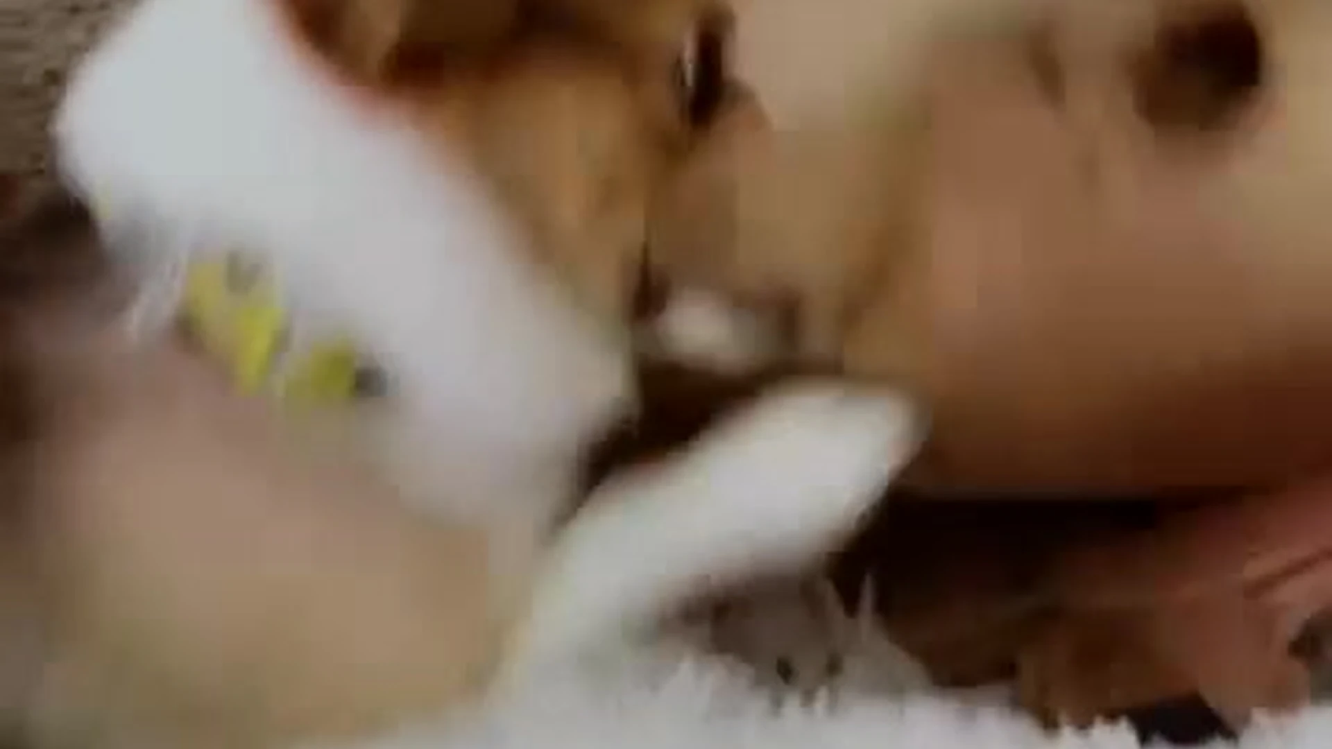 Sensational petite Molly Stewart dildo