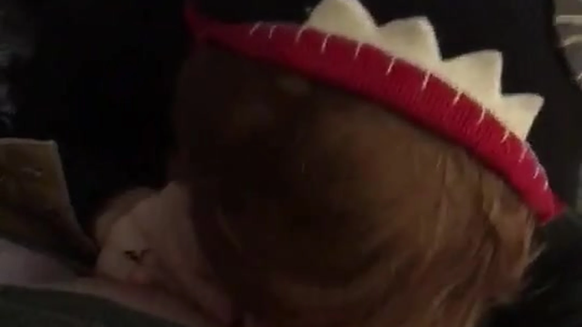 natural boobs AliceOnCam onlyfans leaked pics