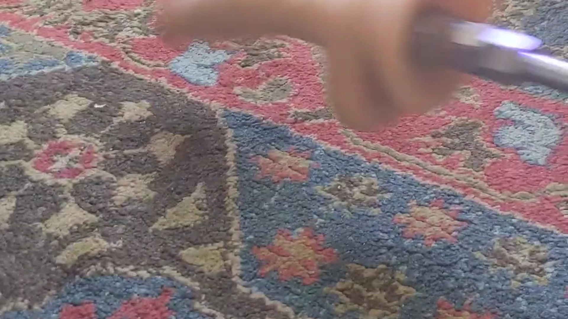 caucasian aella girl Onlyfans nude Clip