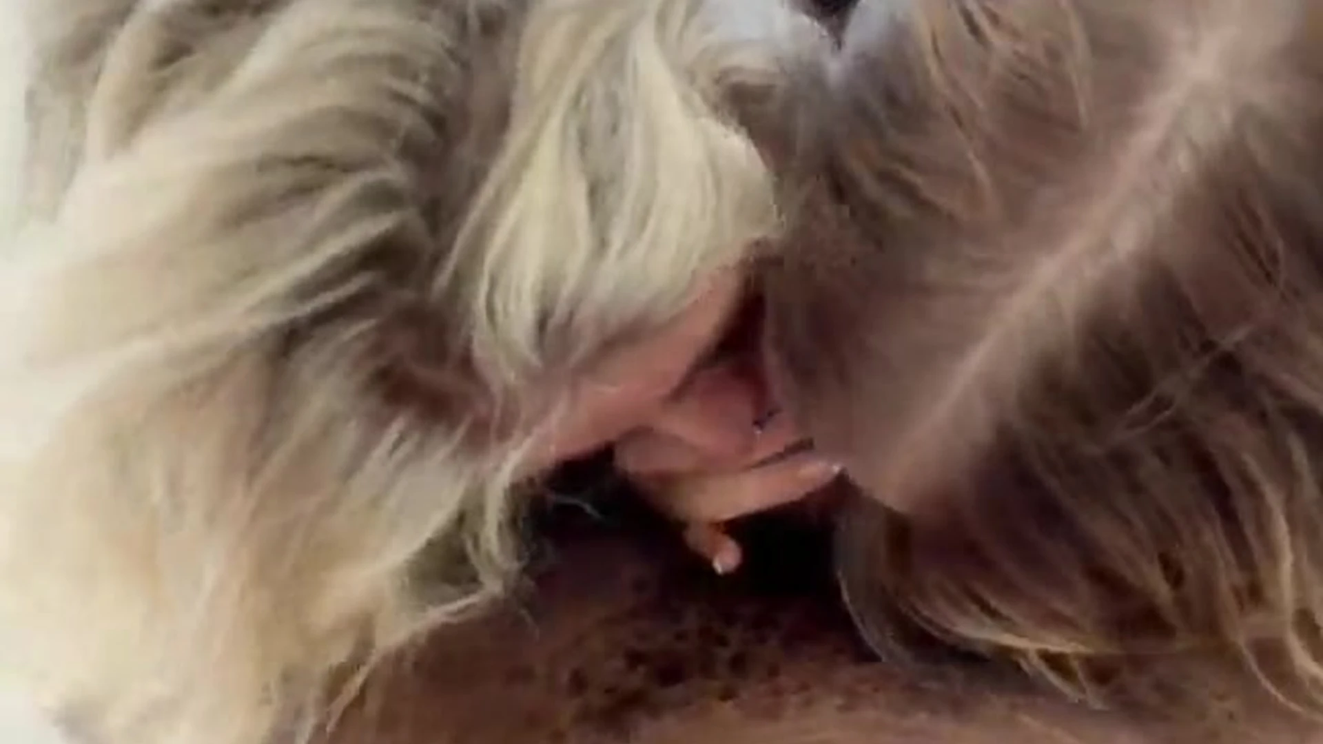 guy OF baddies gallery Nude OF Exposed