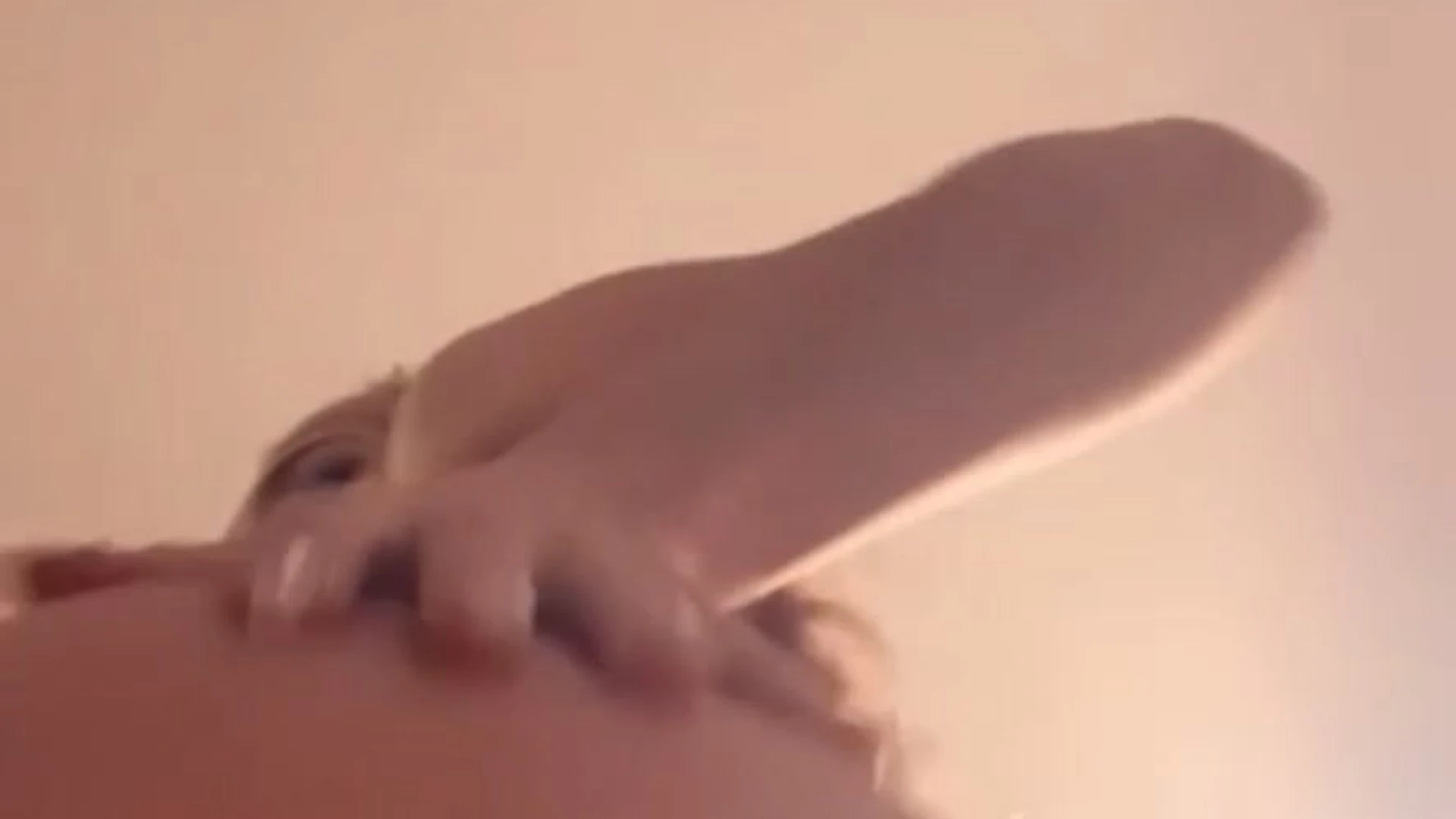 big boobs Molly Eskam leaked nudex