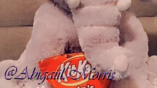 big arse Abigaiil Morris collab