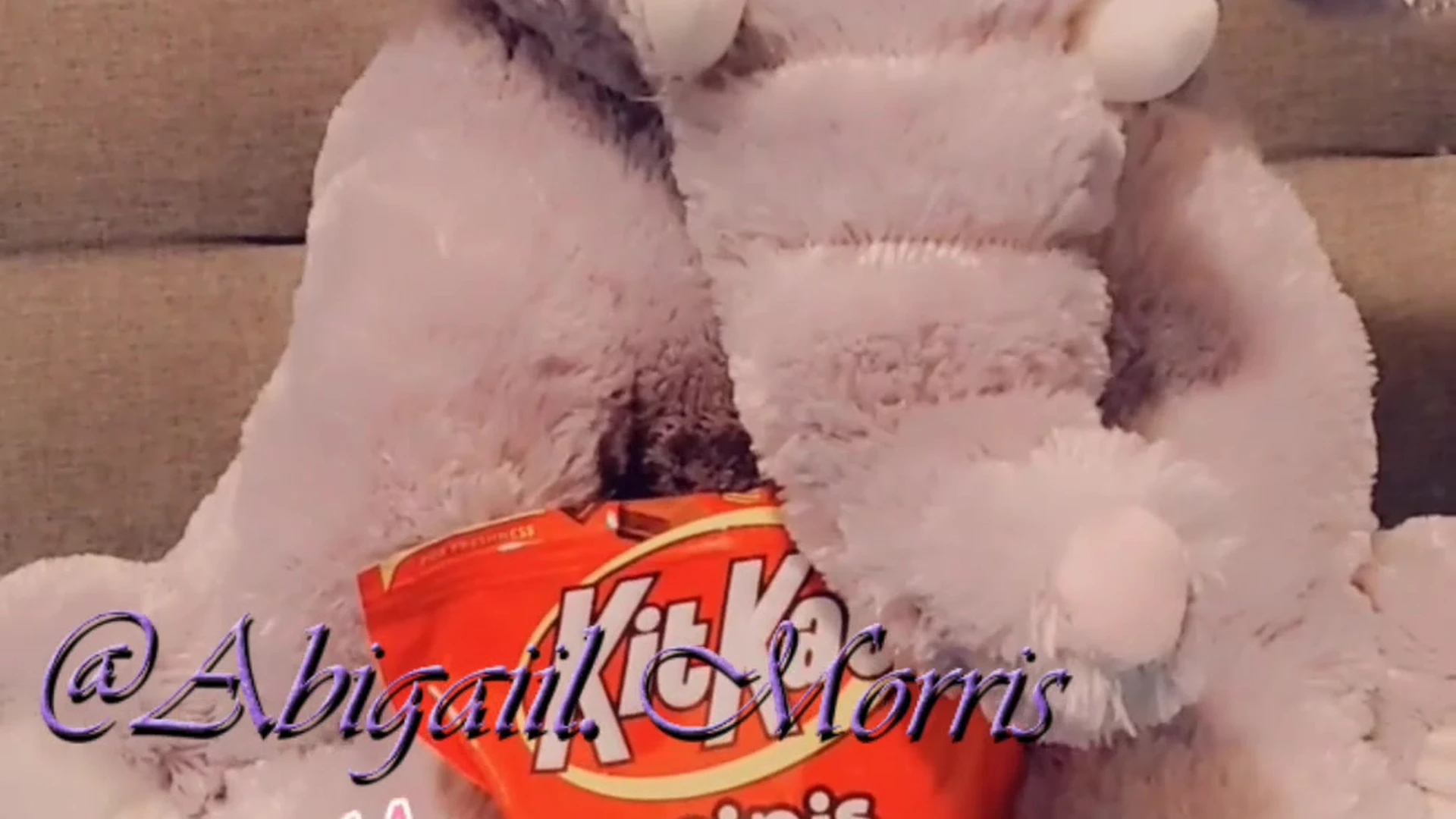 big arse Abigaiil Morris collab