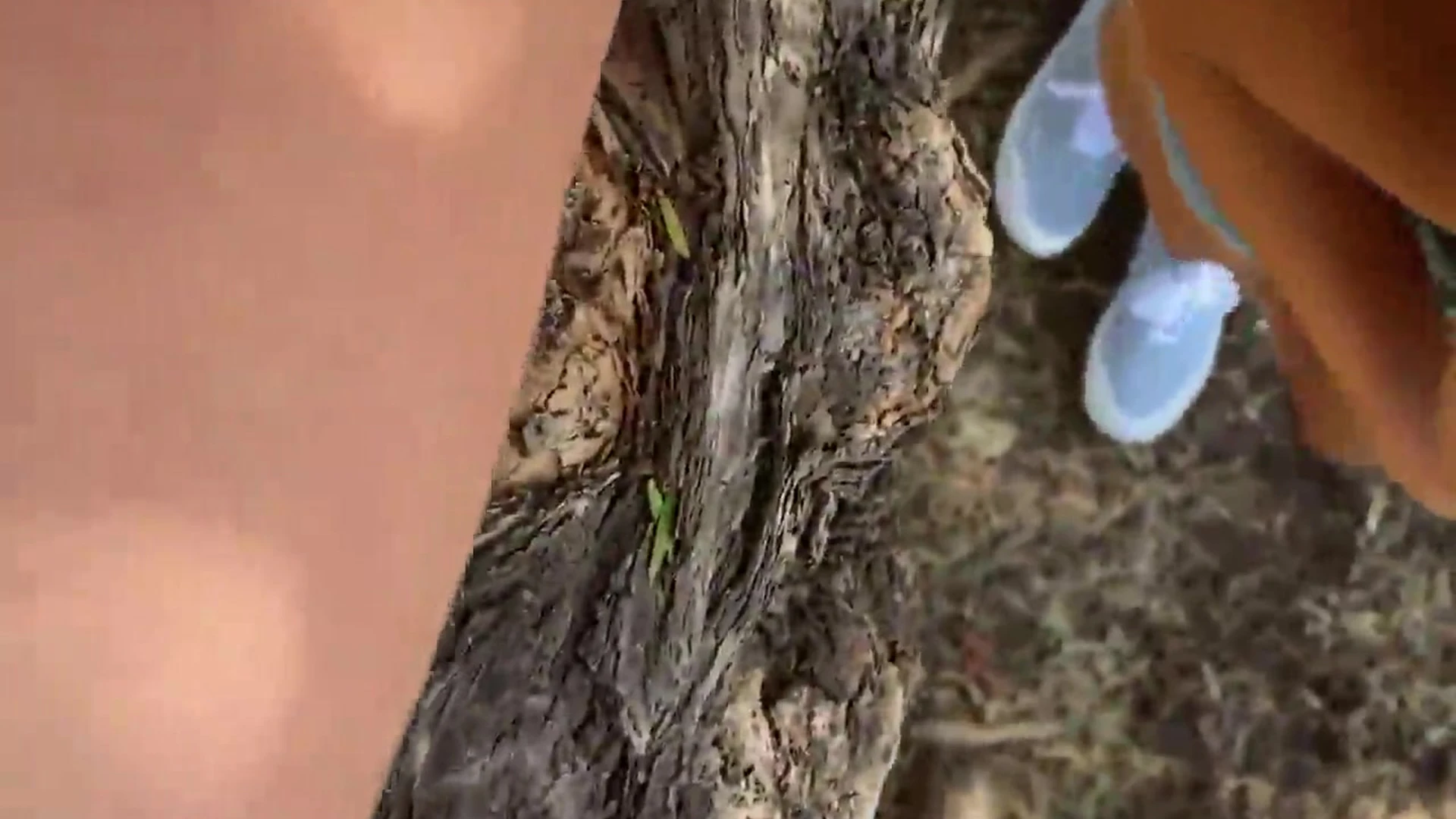 Steadfast fake boobs Viking Barbie nude porn leak Exclusive video full