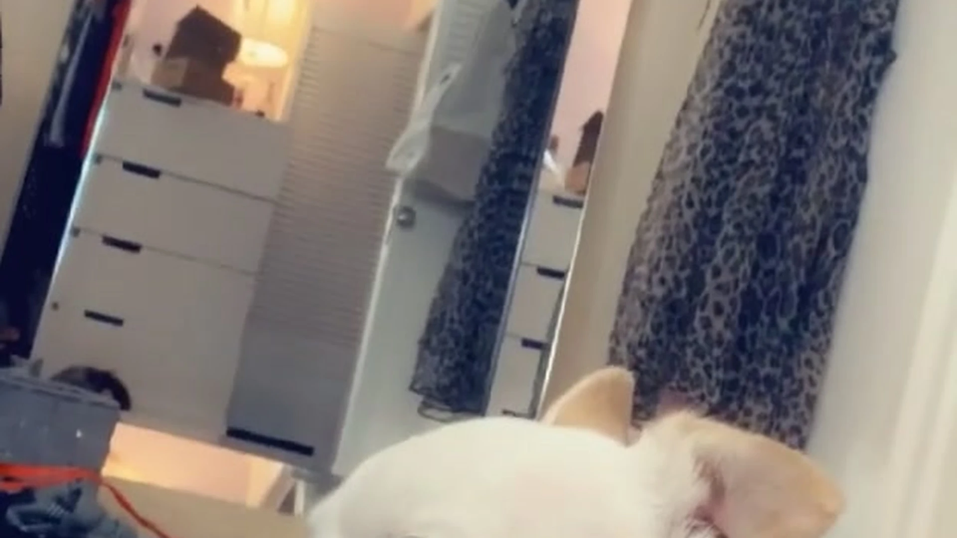 Capable Sweating brunette Molly Eskam leaked nudes