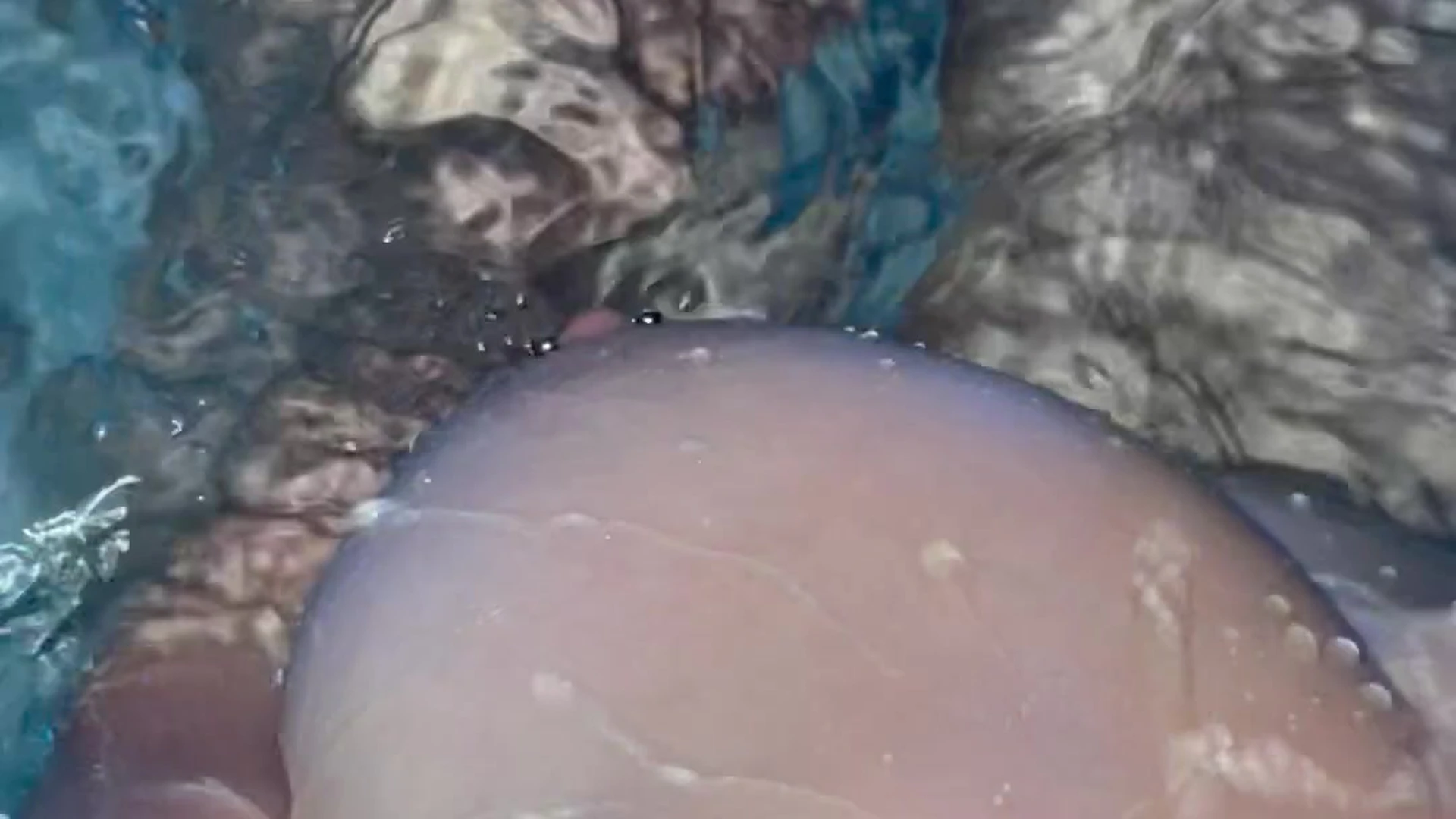 big boobs Imogen Lucie onlyfans videos Exposed