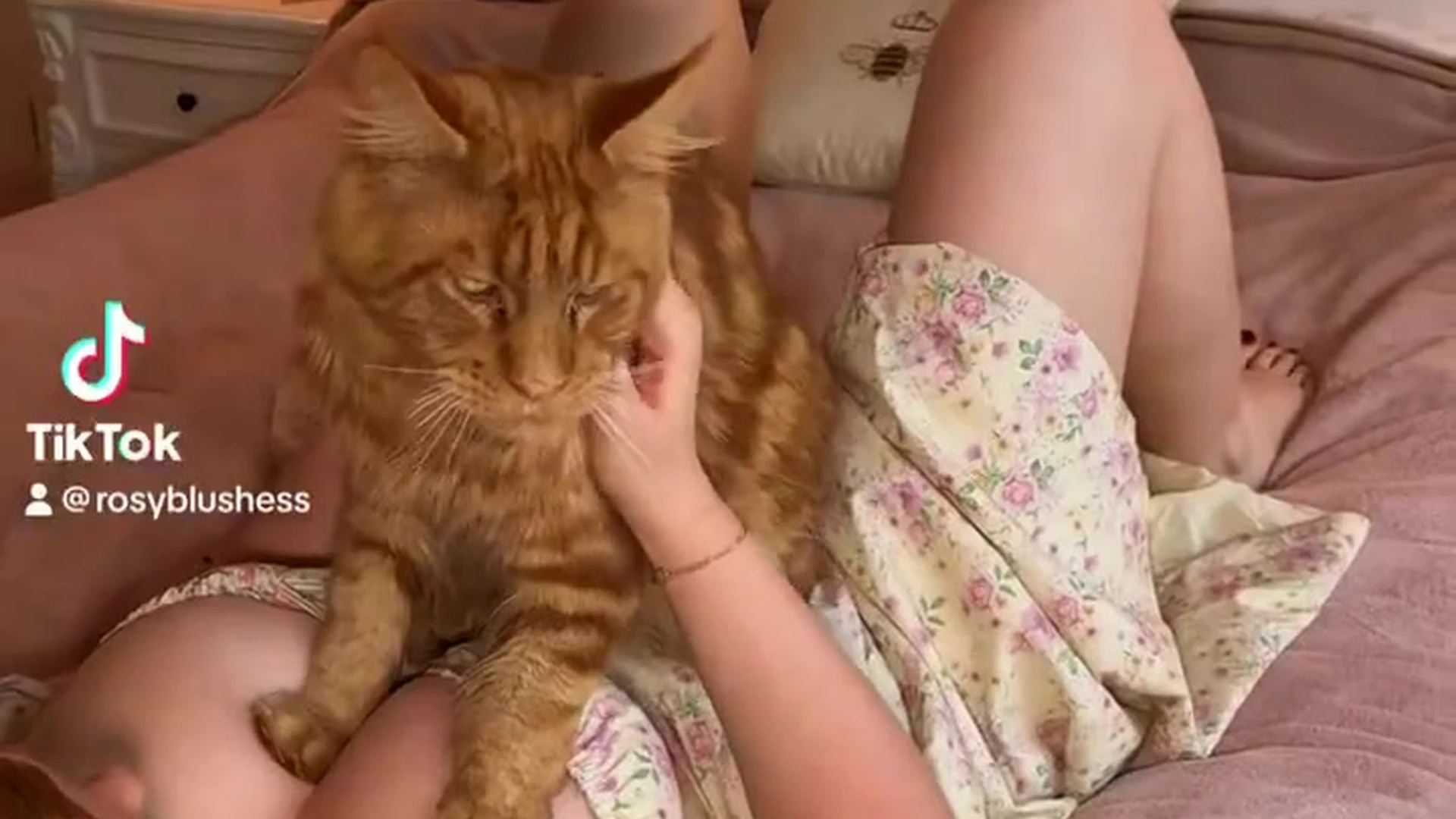 Sensational Disciplined big boobs Imogen Lucie collab Full leaked video