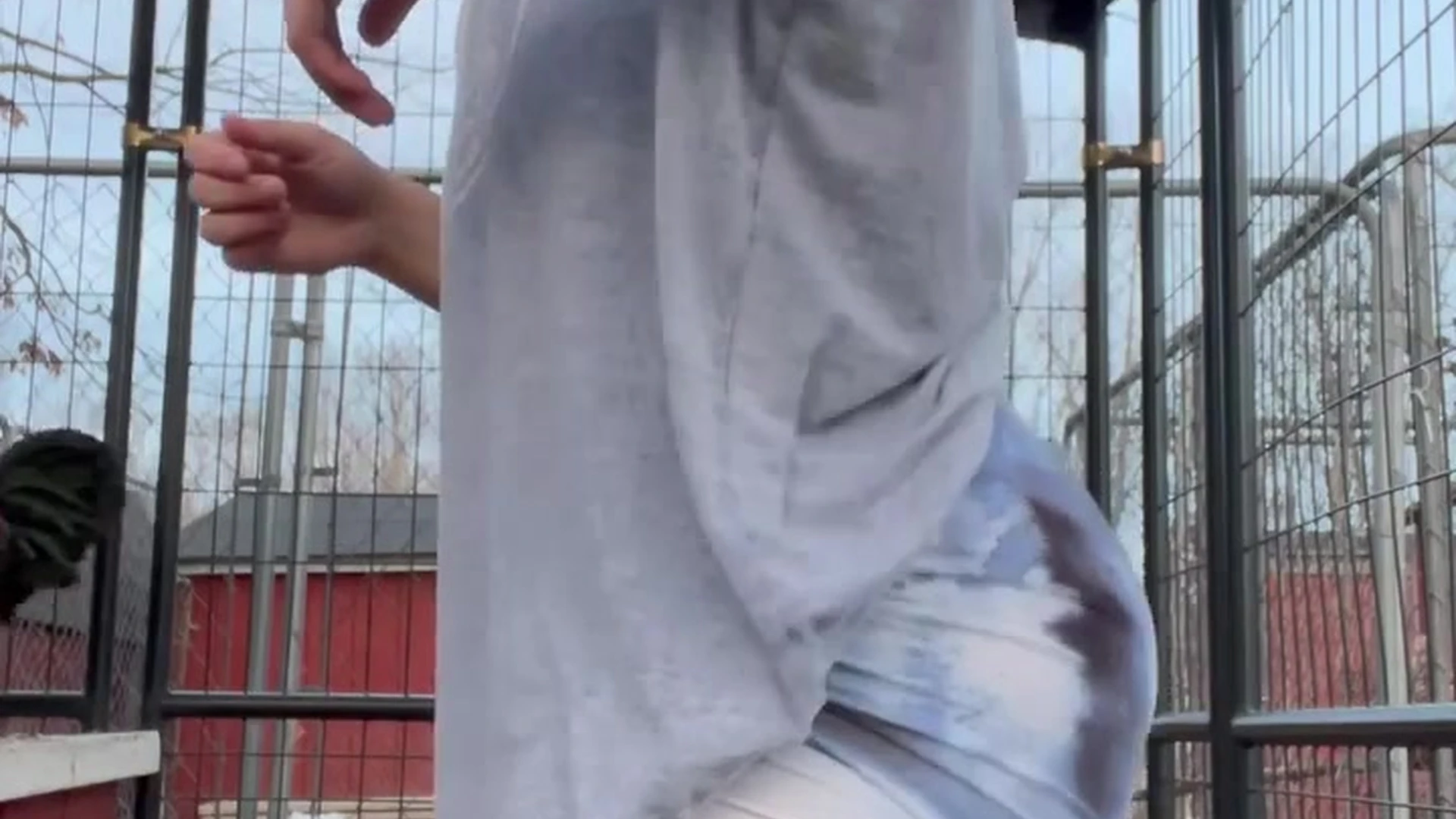 sexy hoe huge ass danicooppss Nudes VIDFULL Sensational