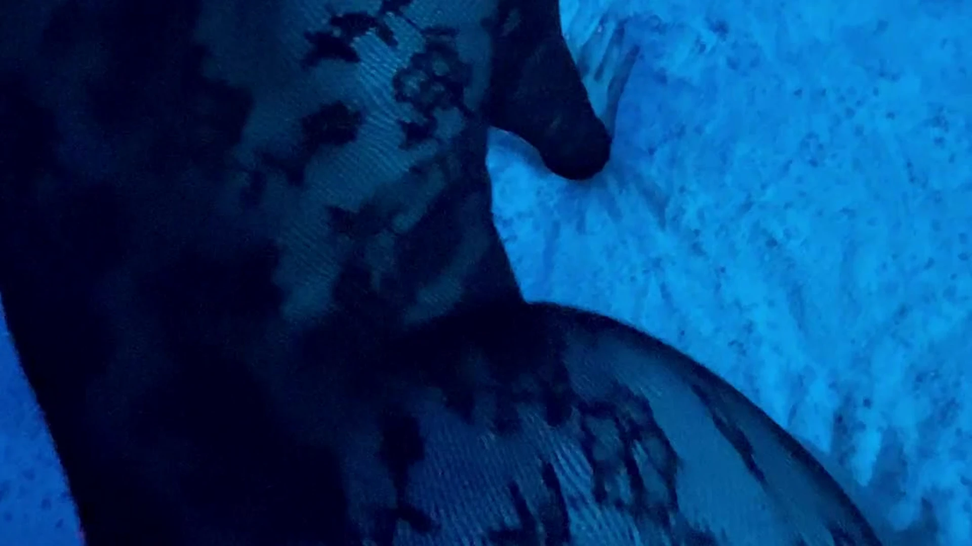 Exposed Resolute natural boobs WoeAlexandra Onlyfans nude