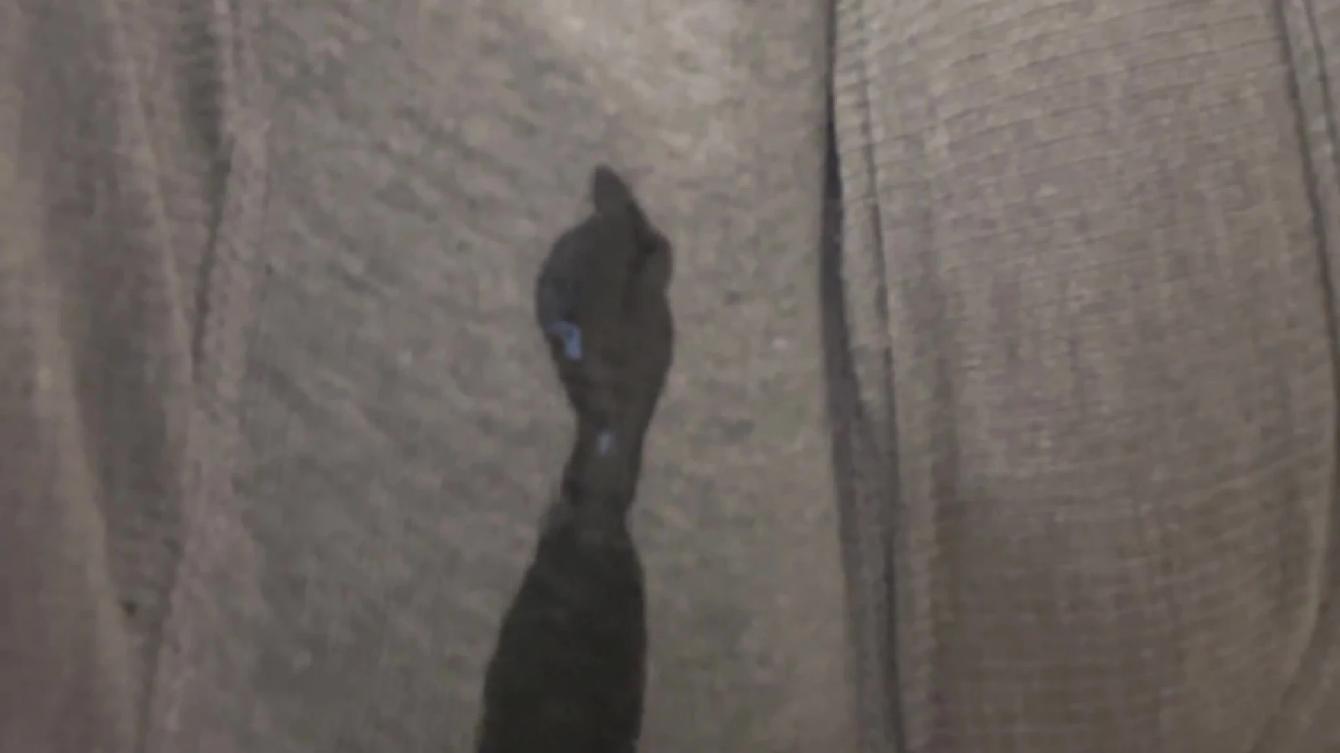 cosplay Nonsalemwitch Naked leaked