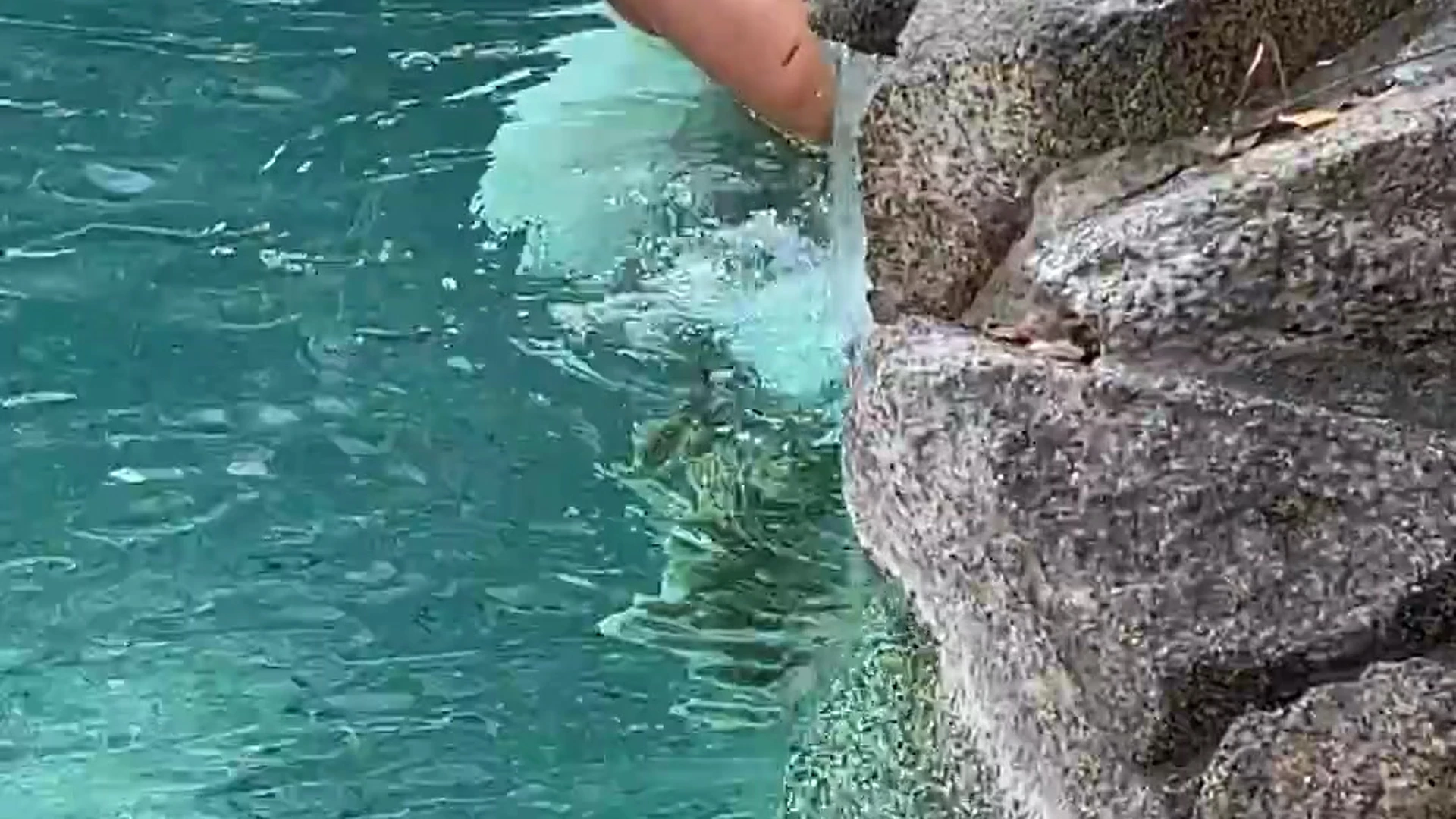 cumslut MILF Danielle Renae tits