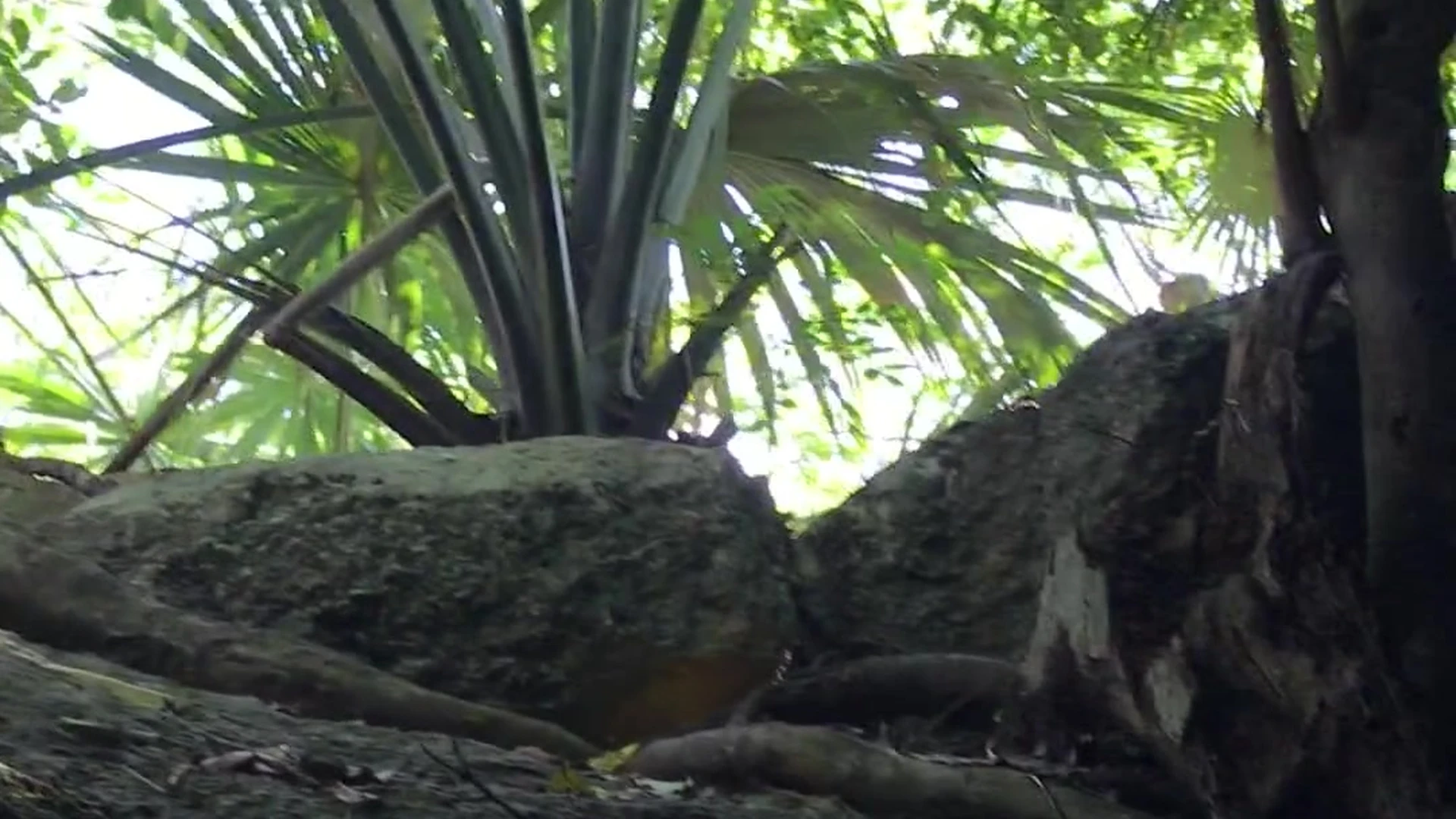 Exposed petite Lily Ivy Leaked OF