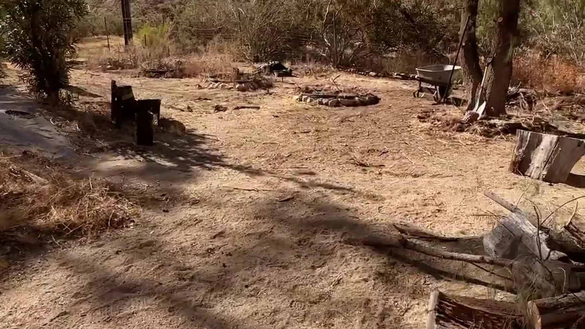 Capable big tits Isla Summer nude porn leak