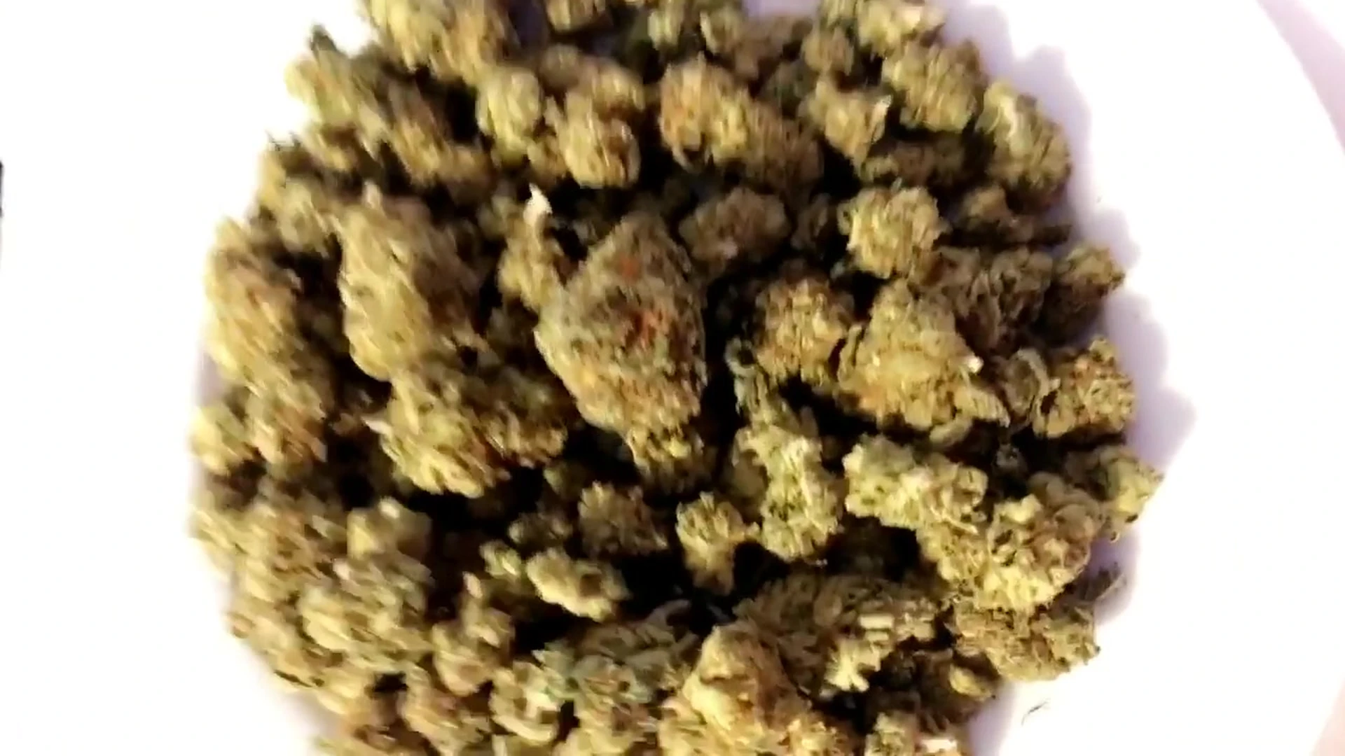 big boobs Kali Roses onlyfans leaks pic Full Movie